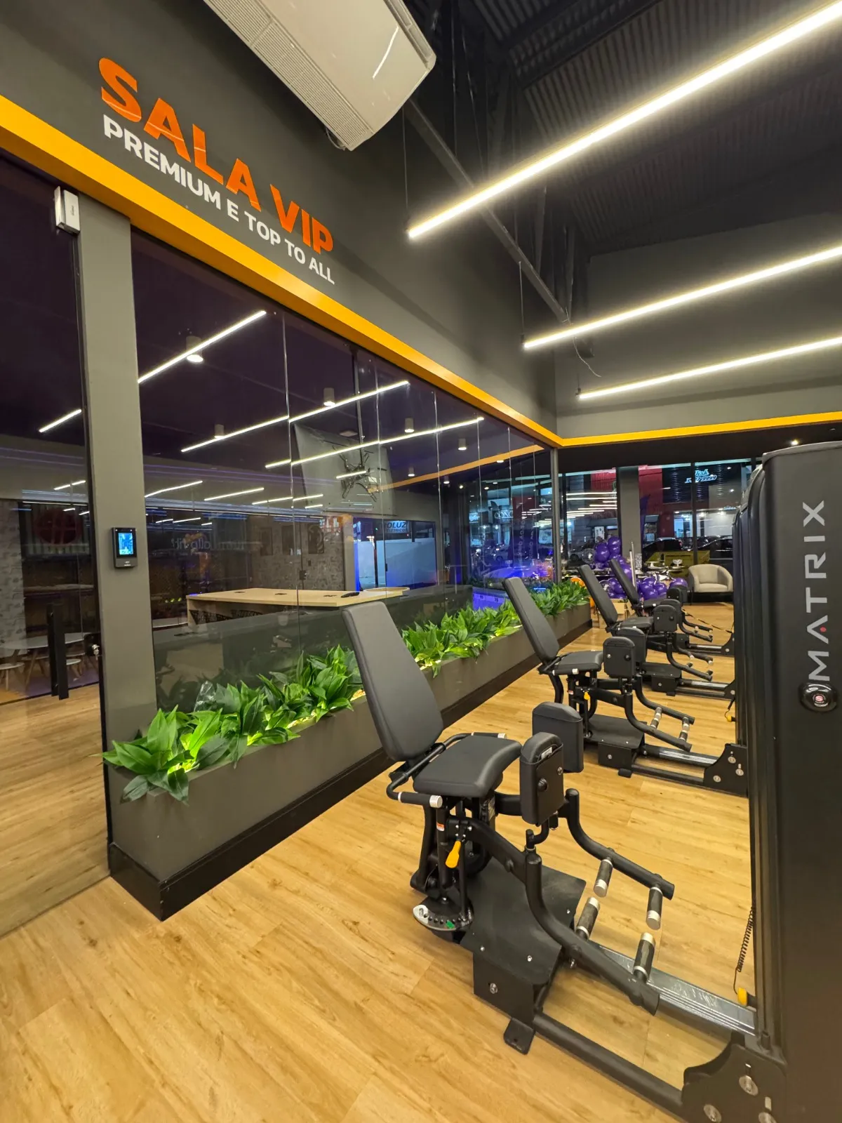 All Fit Apucarana